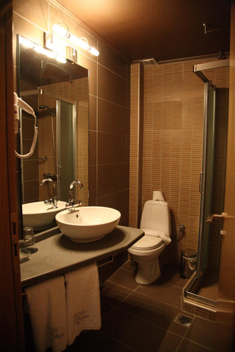 Bathroom, Mousiko Pandoxeio, Central Greece