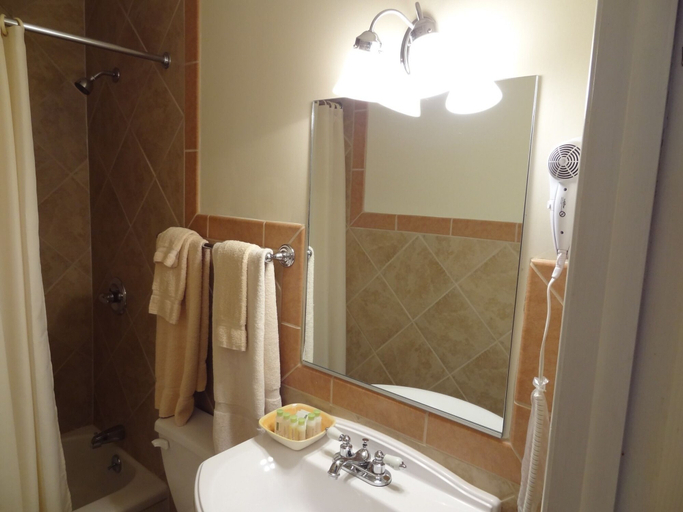 Bathroom, Baseball Town Motel, Otsego