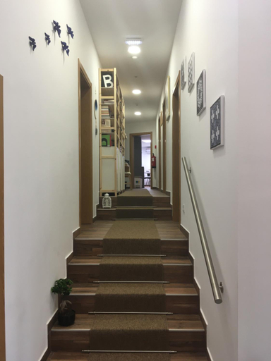 Others 4, Barao Guesthouse, Vouzela