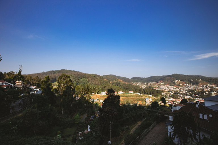 Others 4, Grandis Inn By Avkanz, The Nilgiris