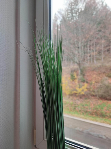 Others 3, Room in Guest Room - Pension Forelle - Double Room 001, Rastatt
