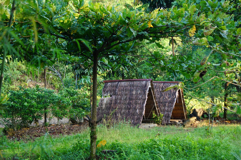 Exterior & Views 4, Eco Conservation Landak Luxury Tents, Langkat