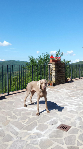 3, Agriturismo Badia Ficarolo, Arezzo