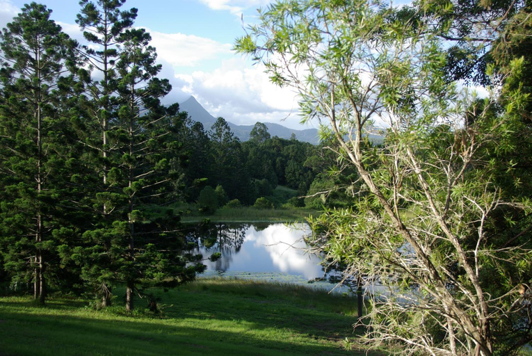 Others 3, The Bushranger Hideaway, Tweed - Pt B