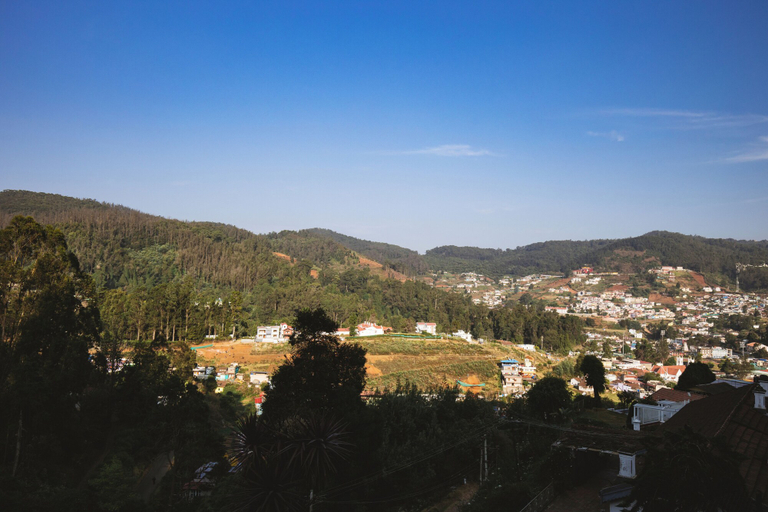 Others 5, Grandis Inn By Avkanz, The Nilgiris