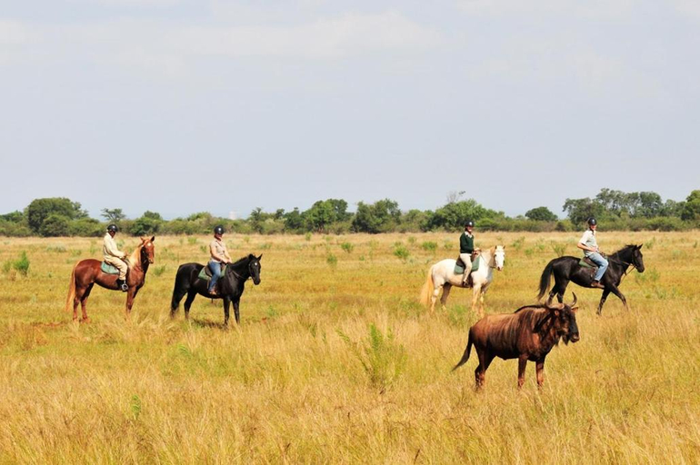Others 5, Sondela Nature Reserve & Spa Country House, Waterberg