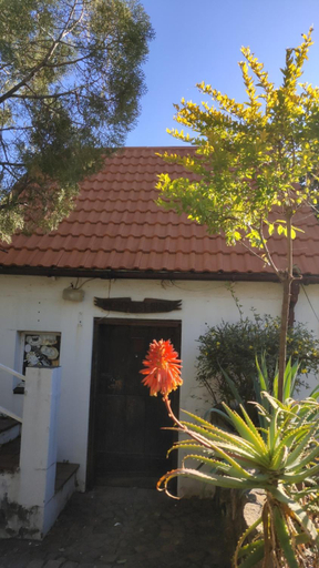 Exterior & Views, Palm View Midrand Guest House, City of Johannesburg