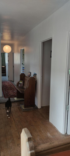 Others 4, Toad Hall Hostel, Powys