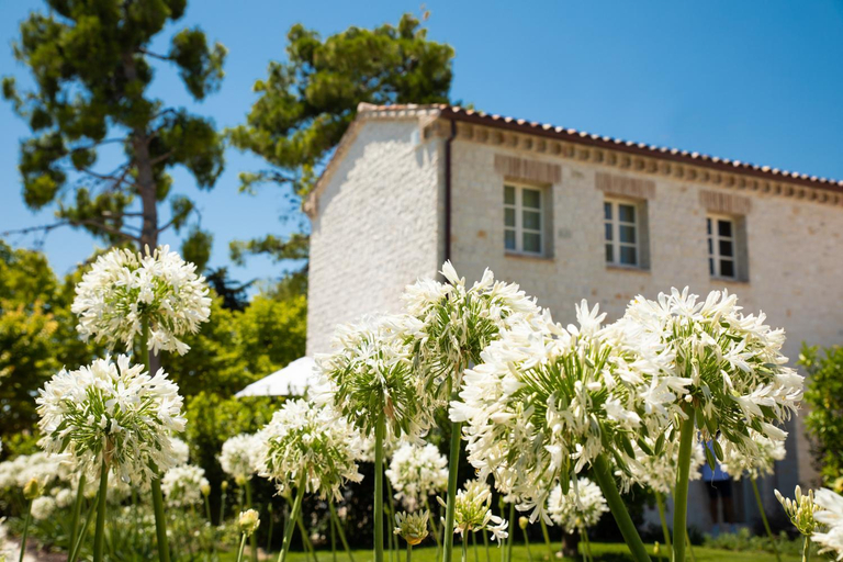 Others 3, San Michele Relais & Spa, Ancona