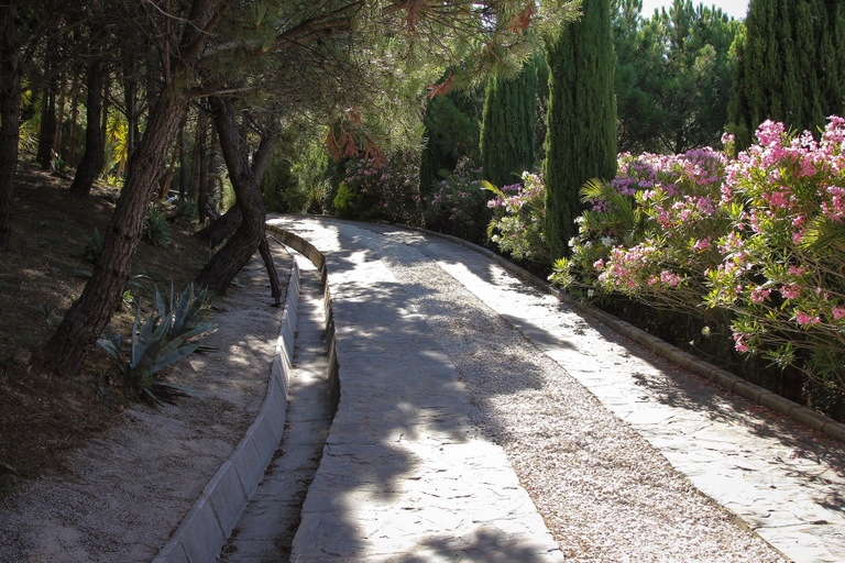 Property grounds, DDG Retreat, Málaga