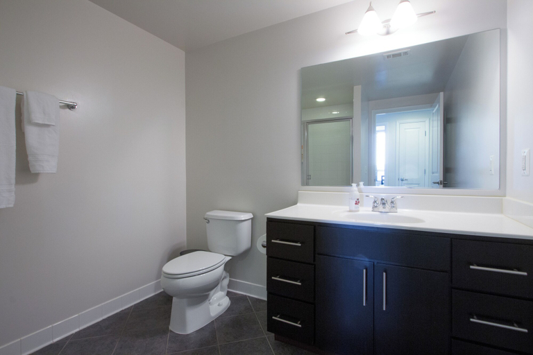 Bathroom 3, Pentagon Luxe Apartments, Arlington