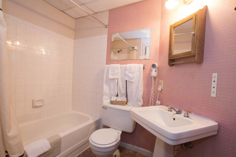 Bathroom 4, Biltmore Suites Hotel, Baltimore