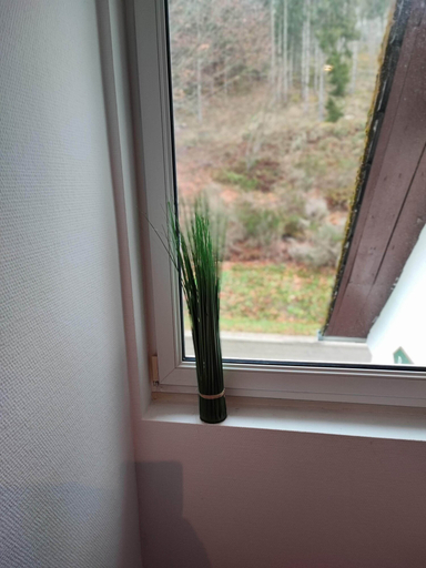 Others 5, Room in Guest Room - Pension Forelle - Double Room 001, Rastatt