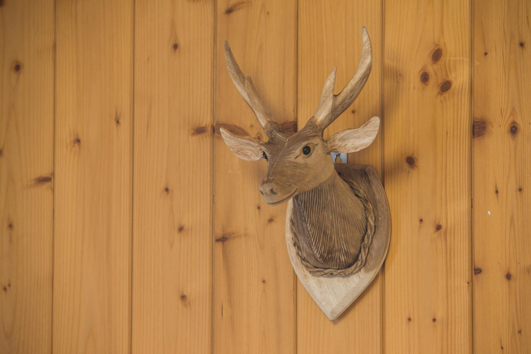 Others 5, Chalet Sunneblick, Interlaken