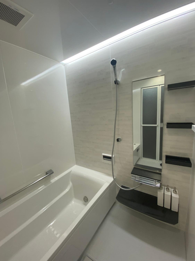 Bathroom 3, FLEXWORK tawa, Shibecha
