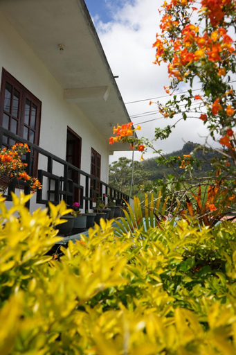 Others 4, The Train View, Nuwara Eliya