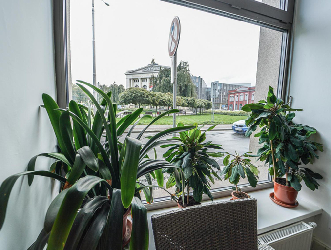 Public Area 2, Kampus Palace, Ostrava