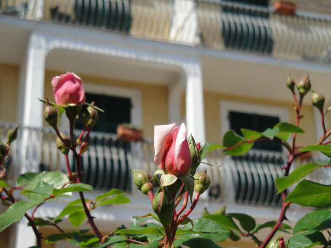 Exterior & Views 2, Hotel Miranda, Savona