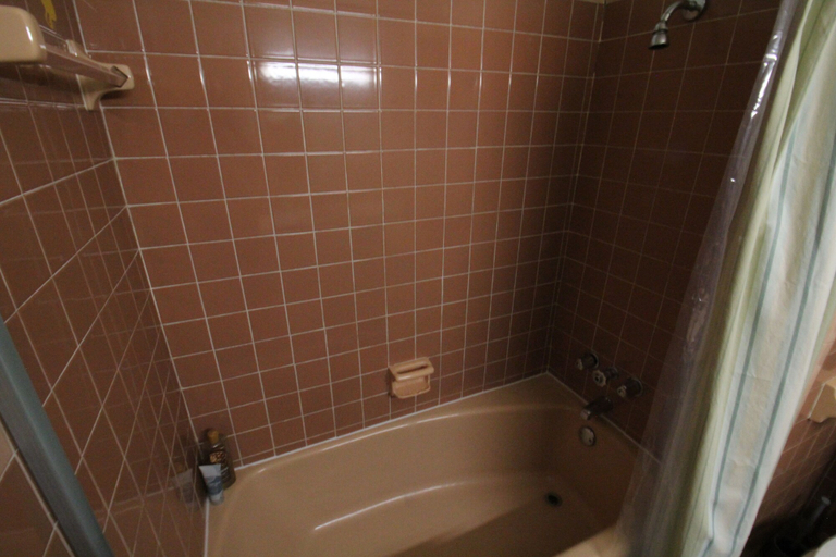 Bathroom 5, Mom's House, Richmond