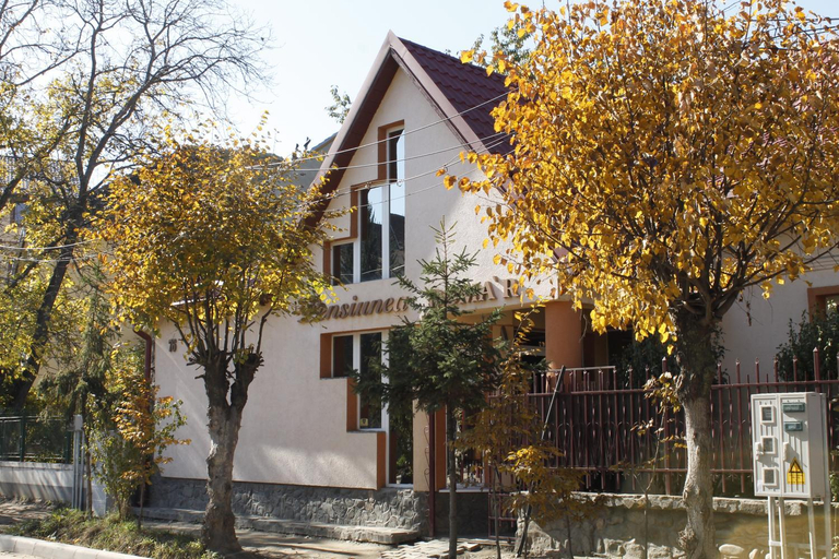 Others 2, Casa Doma'r - Alina, Sibiu