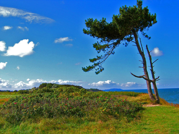 Others 5, Reetdachhauser am Bakenberg, Vorpommern-Rügen