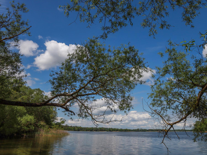 Others 4, Go Mazury, Mrągowo