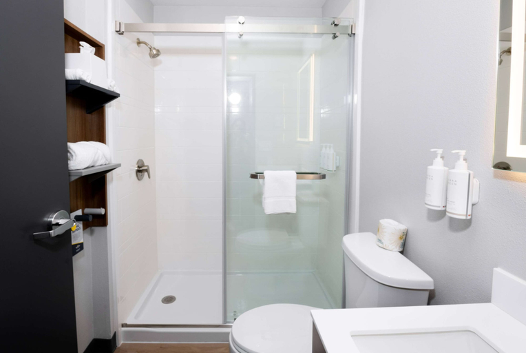 Bathroom 4, Microtel Inn & Suites by Wyndham Springville, Erie
