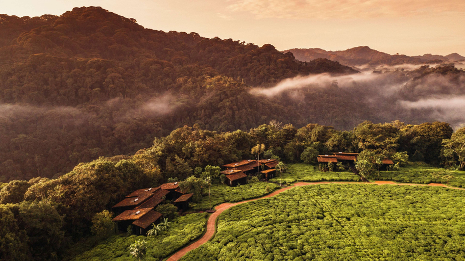 Others 1, One&Only Nyungwe House, Nyamasheke