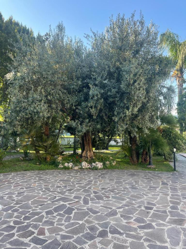 Others 4, IN BLOOM ROOM b&b, Salerno