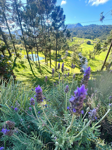 Others 5, Refuge Green Valley, Urubici