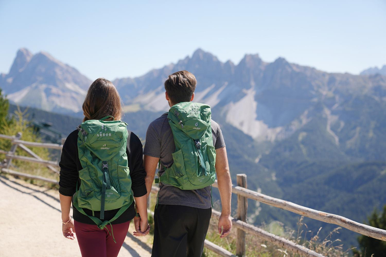 Others 5, My Arbor - Dolomites, Bolzano