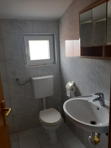 Bathroom 3, Apartments Dujlovic, Privlaka