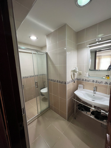 Bathroom 5, Hotel Red Rose, Fatih