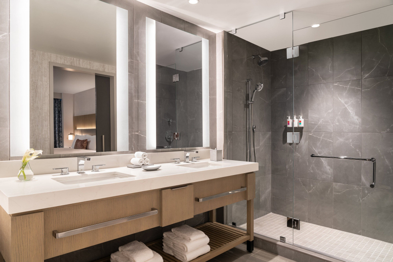 Bathroom 4, Loews Arlington, Arlington
