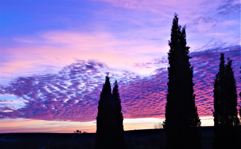 Others 5, Assumar Country House, Monforte