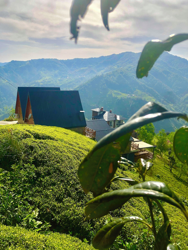 Exterior 3, CELAZENİ BUNGALOV, Ardeşen