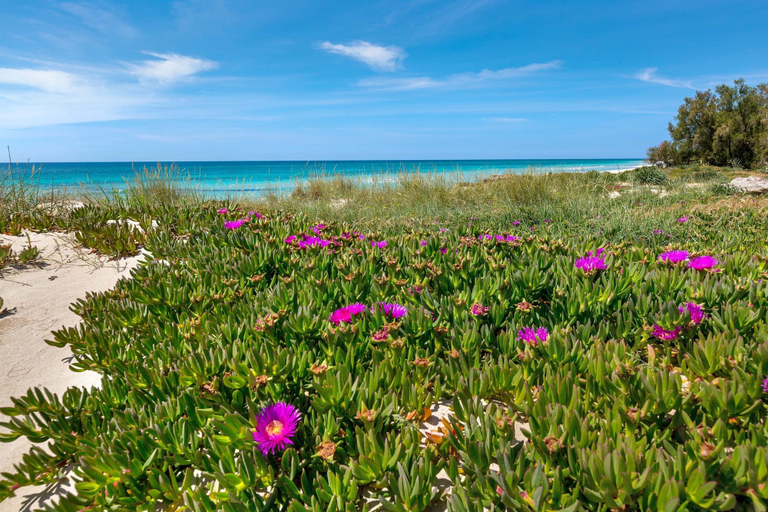 Beach 5, 3773 Casa Ninù by Barbarhouse, Taranto