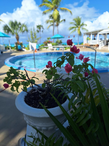 Sport & Beauty 5, Sibonne Beach Hotel