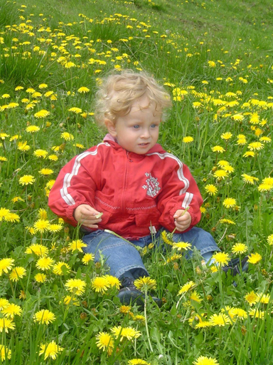 Others 3, Almhotel Fichtenheim, Spittal an der Drau