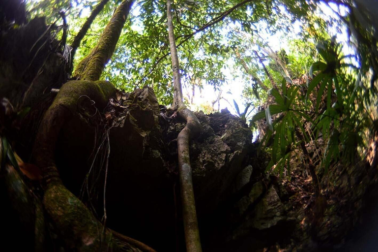 Property grounds 5, Ecolodge Las Nubes Chiapas, Las Margaritas