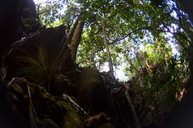 Property grounds 4, Ecolodge Las Nubes Chiapas, Las Margaritas