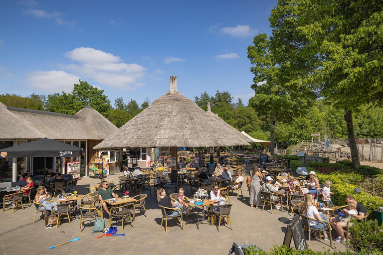 Food & Drinks 4, Camping Marvilla Parks Kaatsheuvel - Roan, Loon op Zand