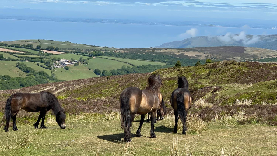 Others 5, Exmoor retreat on Two Moors Way, Somerset