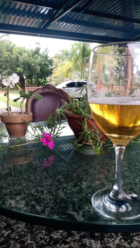Food & Drinks 5, Pousada Adventures - Suites Luxo Hidromassagem - Piscina - Capitolio MG, Piui
