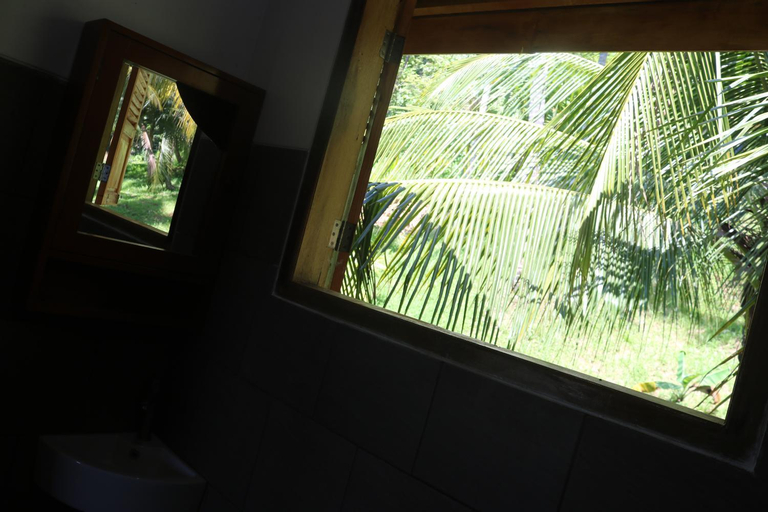 Scenery 5