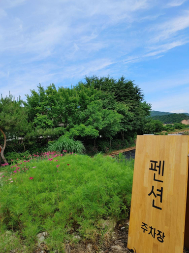 Others 5, pajugamaksan pension(summer), Paju