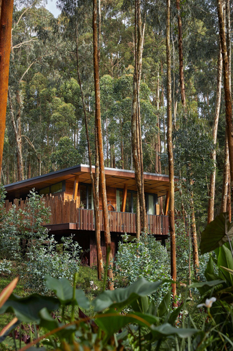 Exterior & Views 2, One&Only Gorilla's Nest, Musanze
