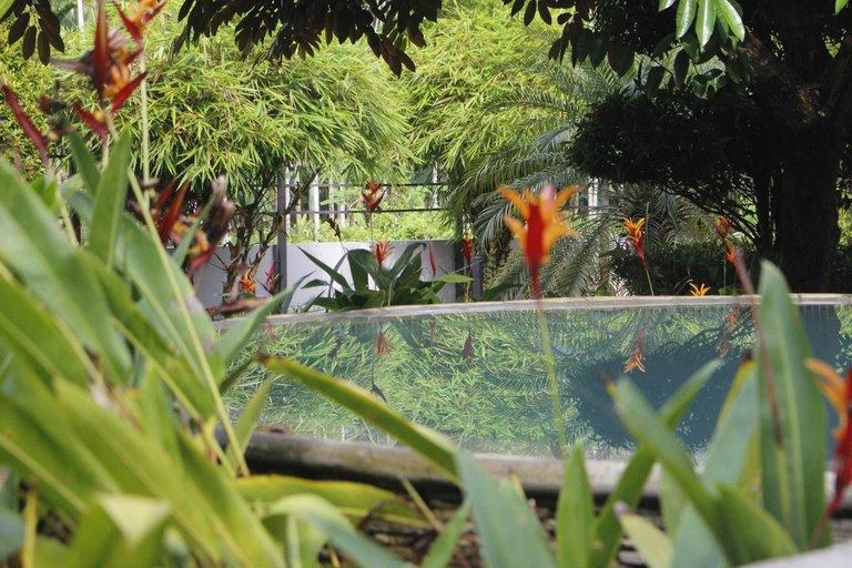 Others 2, Royad Calicut Farm House - Premium Resort with Pool Inside a Farm, Kozhikode