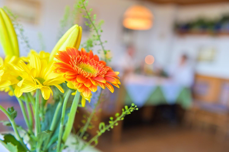Food & Drinks 4, Almhotel Fichtenheim, Spittal an der Drau