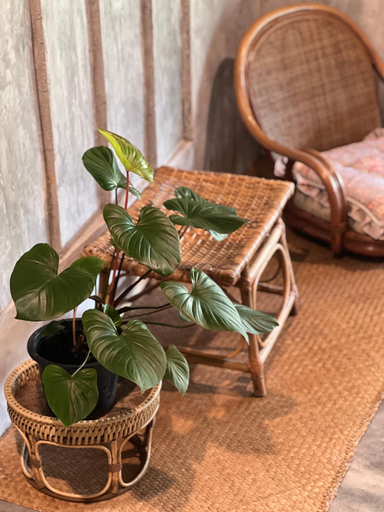 Others 3, Matchoon Homestay, Singha Nakhon